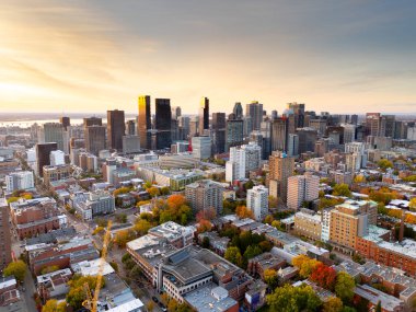 Sonbahar ormanı, kentsel binalar ve dökülen yapraklarla gündoğumunda ve batımında Royal ve Montreal dağlarının hava manzarası. g.