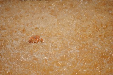 Fas kurak kırmızı kum üzerinde yağmur