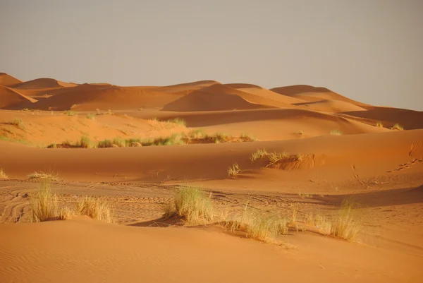 Saharaöknen i Marocko, Afrika — Stockfoto