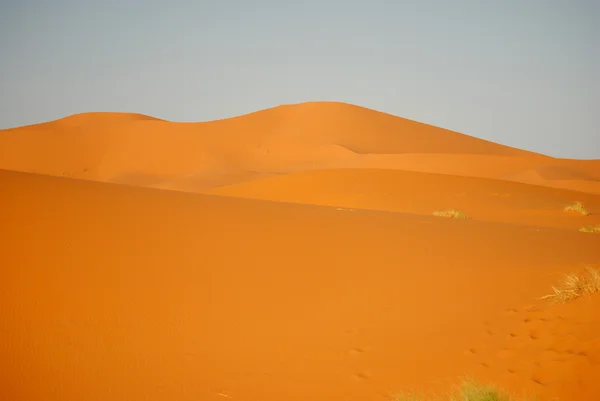 Il deserto del Sahara in Marocco, Africa — Foto Stock