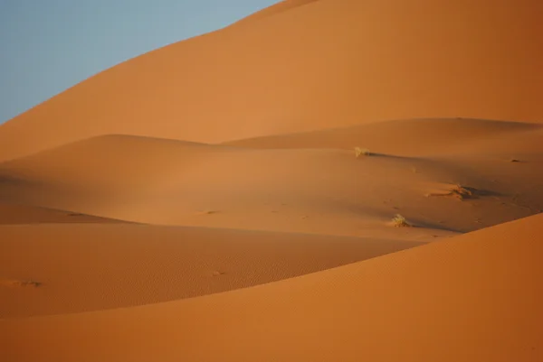 Sahara Wüste in Marokko, Afrika — Stockfoto