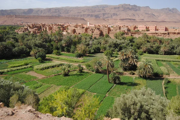 Kasbah e ksar em Marrocos — Fotografia de Stock