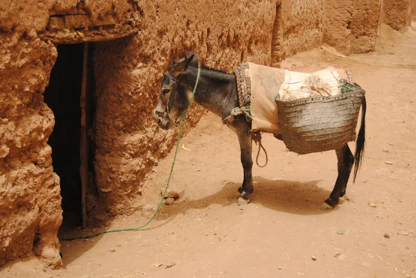 Village de Tamegroute à côté du désert du Sahara, Maroc — Photo