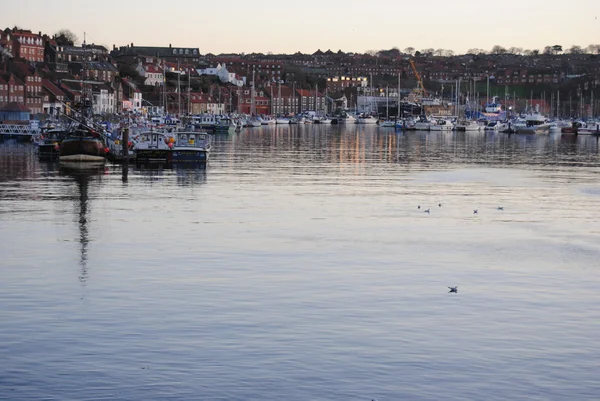 Whitby, Yorkshire güzel sahil köyü