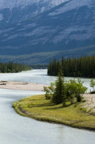 Athabasca ποταμό γραφική — Φωτογραφία Αρχείου