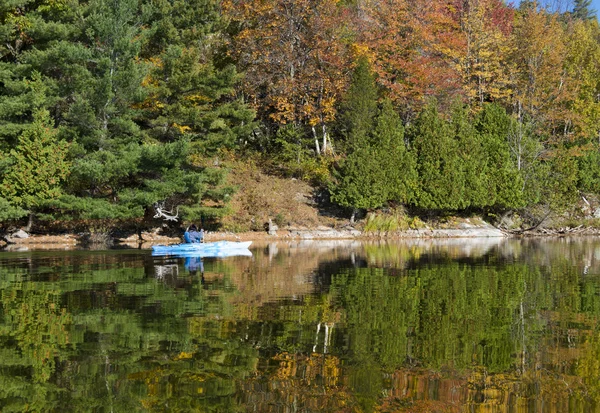 Vrouw kajakken in de herfst op een noordelijke Lake — Stockfoto