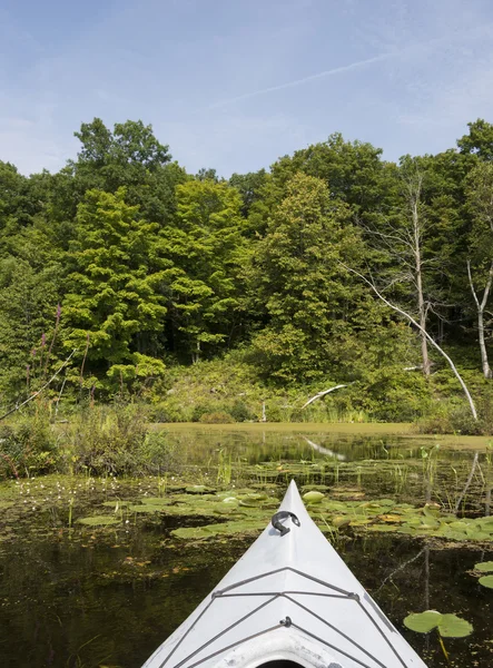 Kayak dans les zones humides — Photo