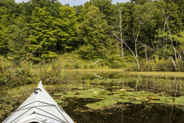 Bir koruma alanında Kayak