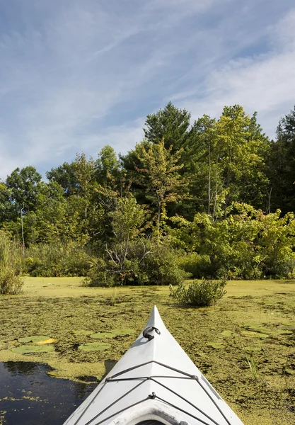 Kayak en un pantano — Foto de Stock