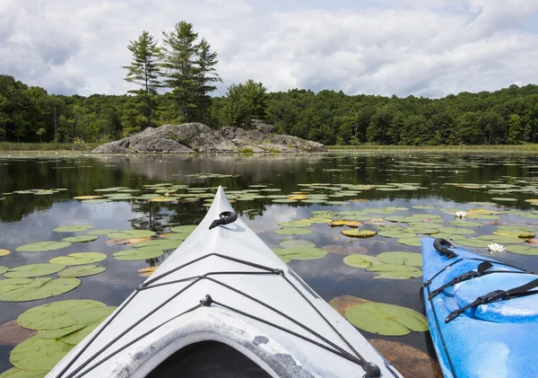 Two Kayaks in a Conservation Area — Stock Photo, Image