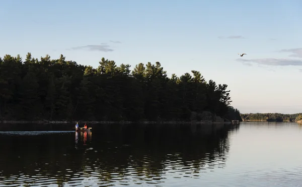 Couple Canoeing on a Northern Lake Stock Image