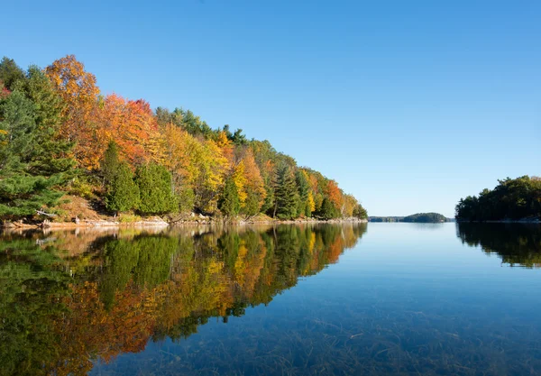 sonbahar yansımalar