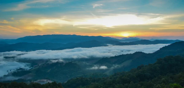 Sol dorado a través del bosque — Foto de Stock