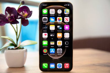 Alanya, Türkiye - 26 Kasım 2020: iPhone 12 Pro Max Gold ve masadaki ana ekran IOS 14. iPhone 12 Pro Max Gold Apple tarafından yaratıldı ve geliştirildi..