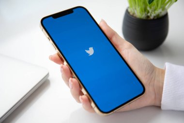 Alanya, Türkiye - 4 Aralık 2020: Kadın eli iPhone 12 Pro Max Gold ve sosyal ağ hizmetleri Twitter ekranda.