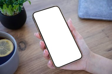 Ofisteki masanın izole ekran arka planına sahip kadın elleri telefonu tutuyor. 
