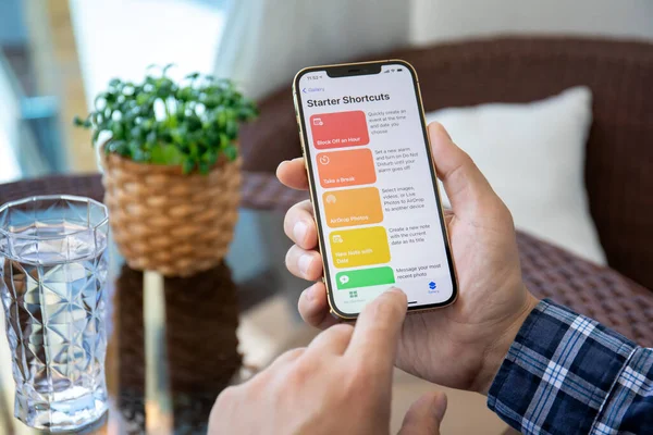 Alanya, Türkiye - 9 Mayıs 2021: iPhone 12 Pro Max Gold ile ana ekran Apple uygulaması.