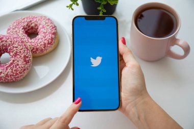 Alanya, Türkiye - 6 Ağustos 2021: Kadın eli iPhone 12 Pro Max Gold ve sosyal ağ hizmetleri Twitter ekranda.