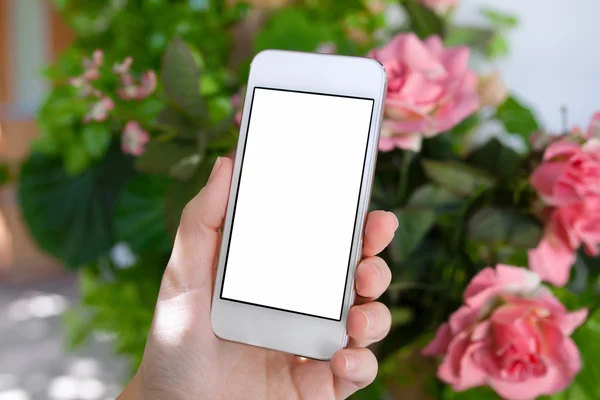 Vrouwelijke hand met een telefoon met geïsoleerde scherm — Stockfoto