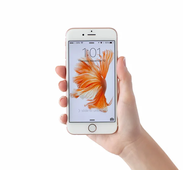 Mulher desbloquear iPhone 6S Rose Gold no fundo branco — Fotografia de Stock