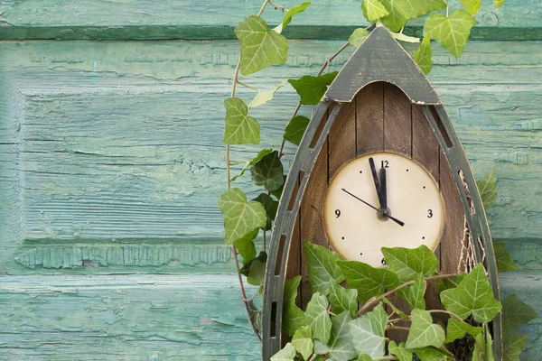 Old Wall Clock Shape Boat Decorated Ivy Hanging Shabby Green — Stock Photo, Image