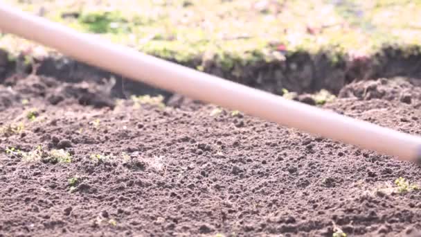 Reinigen Und Einebnen Des Bodens Mit Einer Harke Nach Dem — Stockvideo