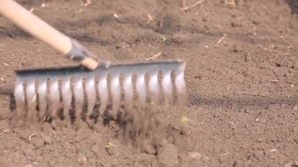 Reiniging Egaliseren Van Grond Met Een Hark Het Graven — Stockvideo