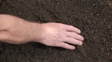 Bir adam elleriyle toprağı kontrol eder.