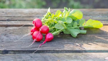 Bir grup taze kırmızı turp eski bir ahşap masanın üzerinde.