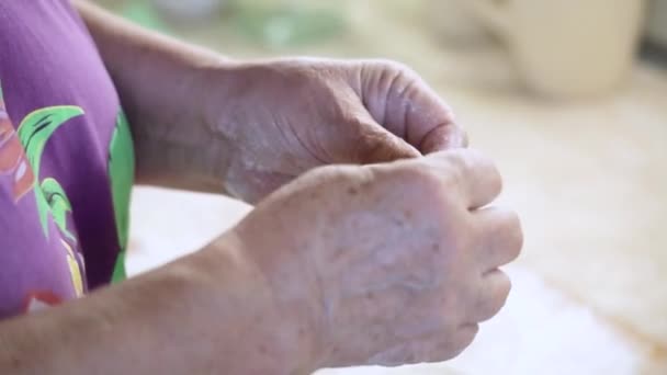 만두를 만드는 한연로 한 여자의 손 — 비디오