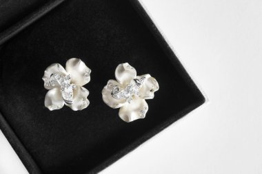 bir kutu içinde küpe