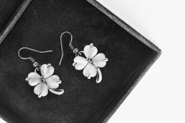 bir kutu içinde küpe