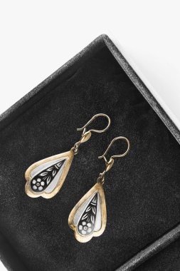 bir kutu içinde küpe