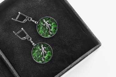 bir kutu içinde küpe