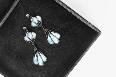 bir kutu içinde küpe