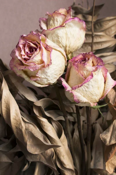 Bouquet Dried Roses Eucalyptus Leaves Clousep — Stock Photo, Image