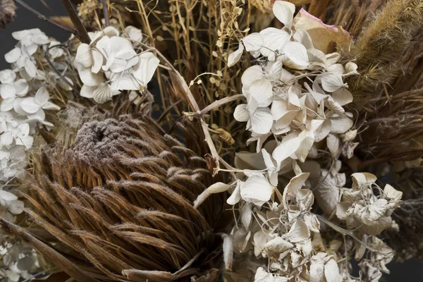 Getrockneter Strauß Von Blumen Und Kräutern Nahaufnahme — Stockfoto