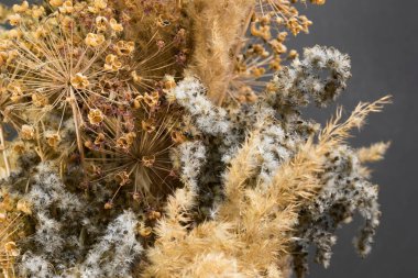 Kurutulmuş bitki buketi ve çiçekler gri arka planda.