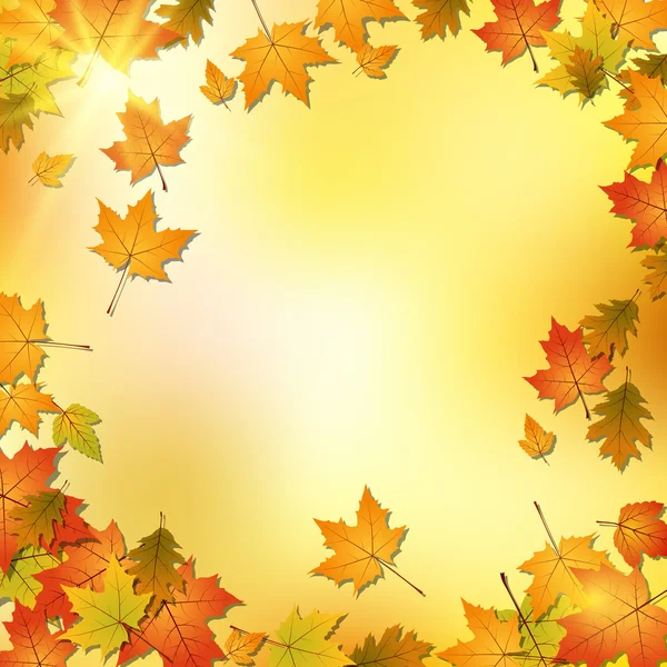 Otoño vector fondo — Vector de stock