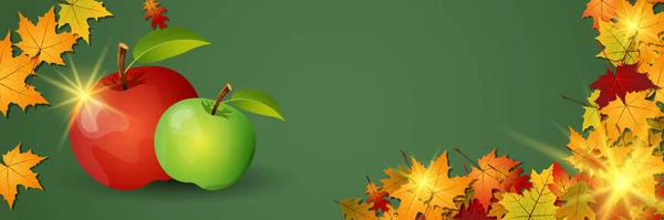 Sezónní Vektorový Banner Podzimním Stylu Jablky Javorovými Listy — Stockový vektor
