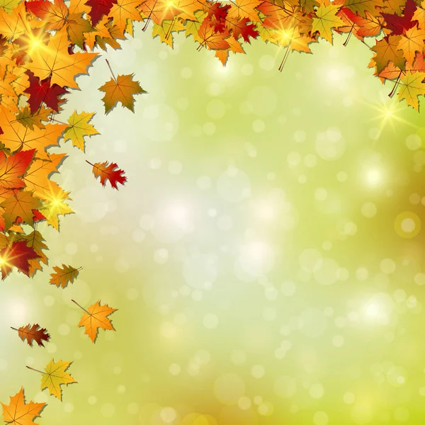 秋风朦胧的矢量背景 叶色艳丽 水滴斑斓 — 图库矢量图片