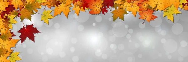 Φθινοπωρινή Διανυσματική Απεικόνιση Αφηρημένο Θολό Φόντο Πολύχρωμα Φύλλα Και Γυάλινη — Διανυσματικό Αρχείο