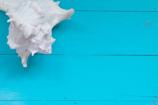 Sommerkonzept Muscheln Auf Holz Hintergrund Draufsicht Mit Kopierraum — Stockfoto