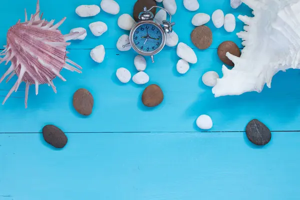 Sommerkonzept Muscheln Und Kiesel Mit Wecker Auf Holzgrund Draufsicht Mit — Stockfoto