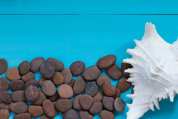 Sommerkonzept Muscheln Und Kiesel Auf Holzgrund Draufsicht Mit Kopierraum — Stockfoto