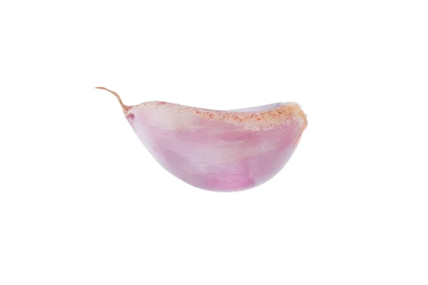 Onion Isolated White Background Clipping Paths — Stock Photo, Image