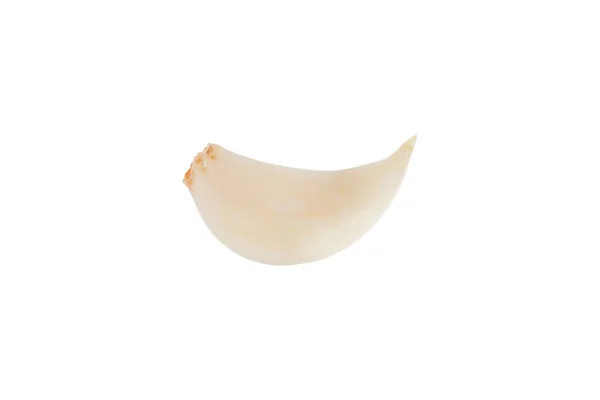 Σκόρδο Απομονωμένο Λευκό Φόντο Μονοπάτια Αποκοπής — Φωτογραφία Αρχείου