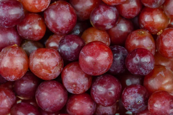 成熟的红葡萄作为背景 — 图库照片