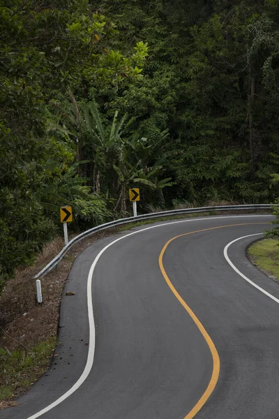 Camino Asfalto Través Del Bosque —  Fotos de Stock