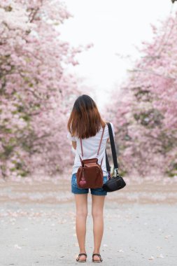 Pembe çiçek tarlasına bakan genç bir kadın manzarası.